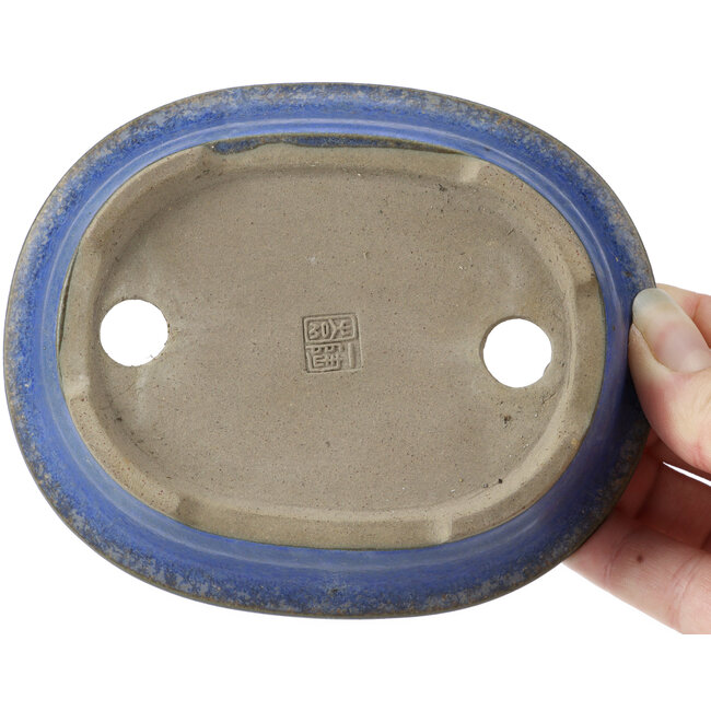 Vaso bonsai blu ovale di Ikkou - 125 x 105 x 30 mm