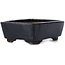 Maceta de bonsái rectangular azul de Issho - 115 x 90 x 35 mm