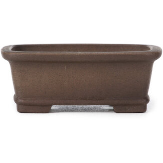  Zenigo (Matsushita Masuo) Maceta de bonsái sin esmaltar rectangular de 105 mm de Zenigo, Japón