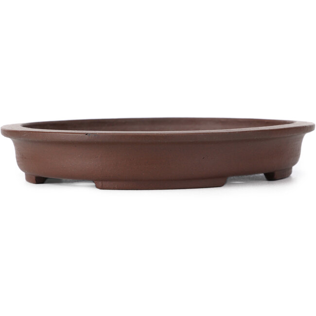 Pot à bonsaï ovale non émaillé par Shibakatsu - 185 x 160 x 30 mm