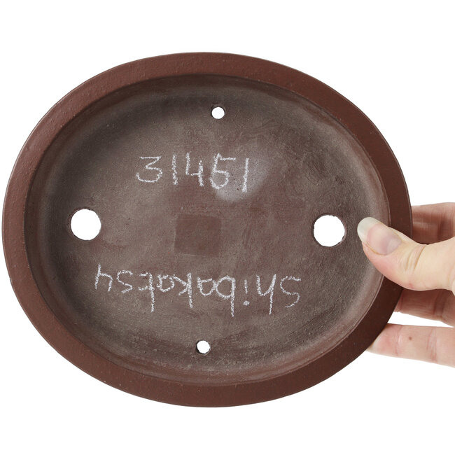 Maceta de bonsái ovalada sin esmaltar de Shibakatsu - 185 x 160 x 30 mm