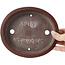 Pot à bonsaï ovale non émaillé par Shibakatsu - 185 x 160 x 30 mm
