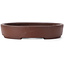 Pot à bonsaï ovale non émaillé par Shibakatsu - 180 x 145 x 25 mm