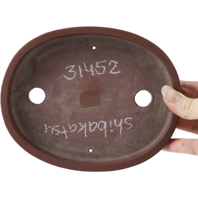 Pot à bonsaï ovale non émaillé par Shibakatsu - 180 x 145 x 25 mm