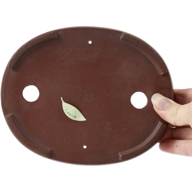 Oval Unglazed bonsai pot by Shibakatsu - 180 x 145 x 25 mm