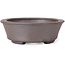 Oval Unglazed bonsai pot by Seto - 105 x 95 x 30 mm