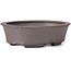 Oval Unglazed bonsai pot by Seto - 105 x 95 x 30 mm