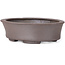 Pot à bonsaï ovale non émaillé par Seto - 105 x 90 x 30 mm