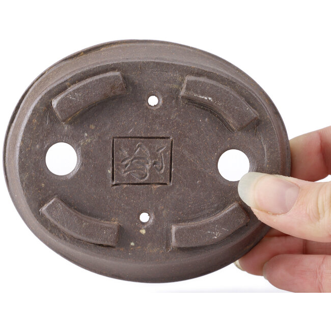 Maceta de bonsái ovalada sin esmaltar de Seto - 105 x 90 x 30 mm