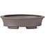 Pot à bonsaï ovale non émaillé par Seto - 105 x 90 x 30 mm