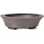 Oval Unglazed bonsai pot by Seto - 105 x 90 x 30 mm