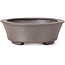 Pot à bonsaï ovale non émaillé par Seto - 105 x 90 x 30 mm