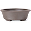 Pot à bonsaï ovale non émaillé par Seto - 105 x 90 x 30 mm