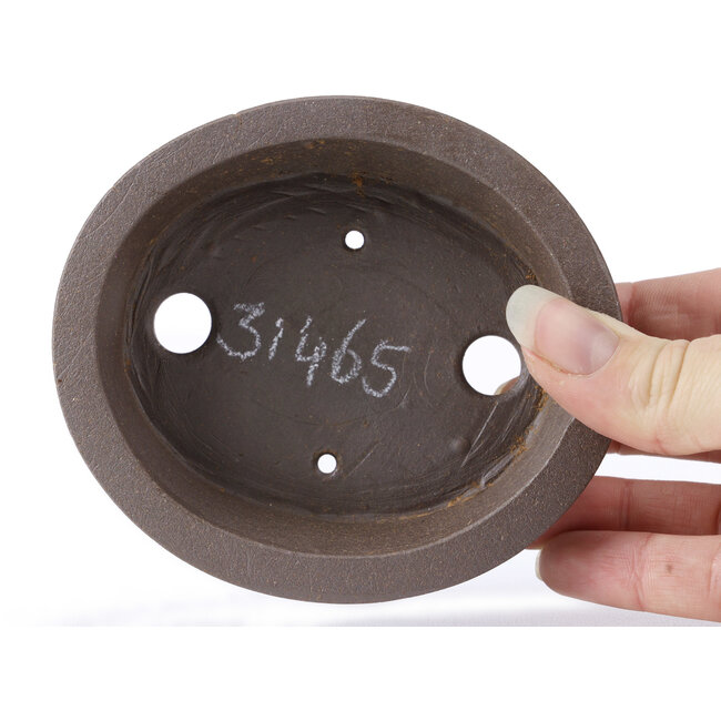 Pot à bonsaï ovale non émaillé par Seto - 105 x 90 x 30 mm