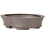 Pot à bonsaï ovale non émaillé par Seto - 105 x 90 x 30 mm