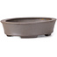 Pot à bonsaï ovale non émaillé par Seto - 105 x 90 x 30 mm