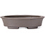 Oval Unglazed bonsai pot by Seto - 105 x 90 x 30 mm