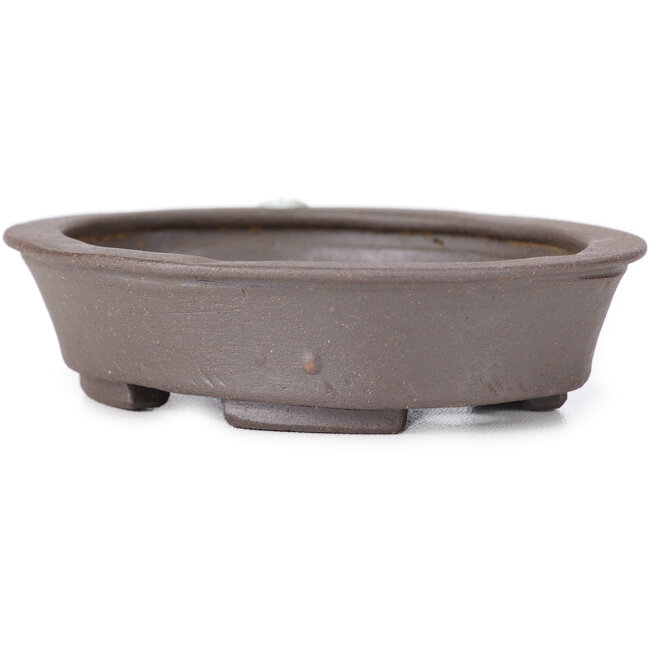 Pot à bonsaï ovale non émaillé par Seto - 105 x 90 x 30 mm