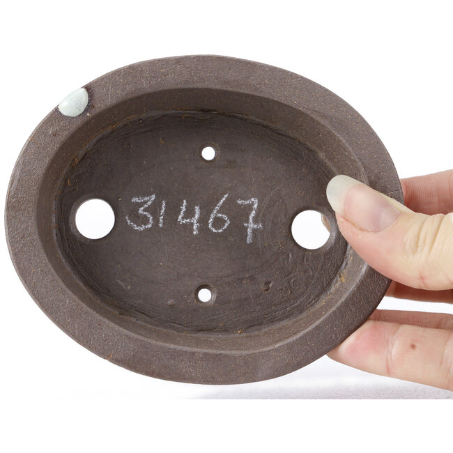 Pot à bonsaï ovale non émaillé par Seto - 105 x 90 x 30 mm