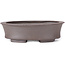 Oval Unglazed bonsai pot by Seto - 105 x 90 x 30 mm