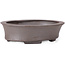 Pot à bonsaï ovale non émaillé par Seto - 105 x 90 x 30 mm