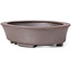 Oval Unglazed bonsai pot by Seto - 105 x 90 x 30 mm