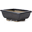 Pot à bonsaï rectangulaire marron par Seto - 80 x 65 x 30 mm