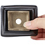 Pot à bonsaï rectangulaire marron par Seto - 80 x 65 x 30 mm
