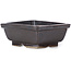 Rectangular brown bonsai pot by Seto - 80 x 65 x 30 mm
