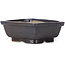 Pot à bonsaï rectangulaire marron par Seto - 80 x 65 x 30 mm