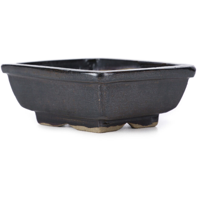 Pot à bonsaï rectangulaire marron par Seto - 80 x 65 x 30 mm