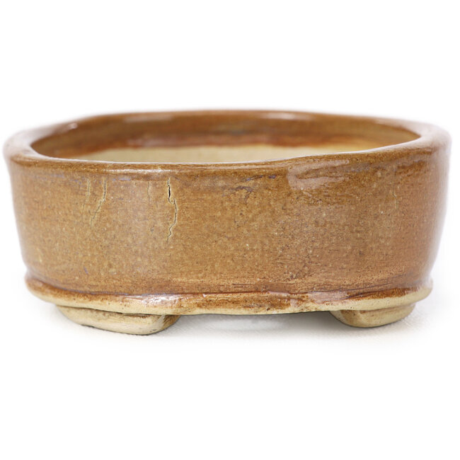 Vaso bonsai ovale marrone di Seto - 85 x 70 x 25 mm