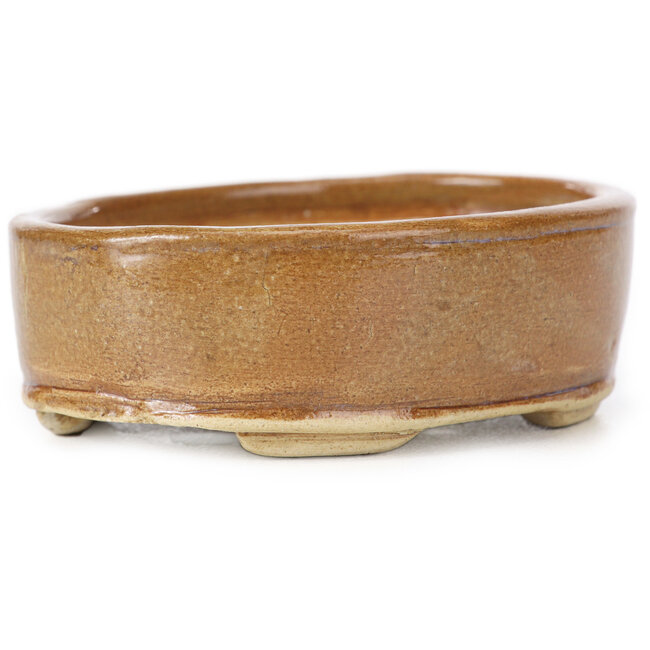 Vaso bonsai ovale marrone di Seto - 85 x 70 x 25 mm