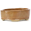 Ovale bruine bonsaipot van Seto - 85 x 70 x 25 mm
