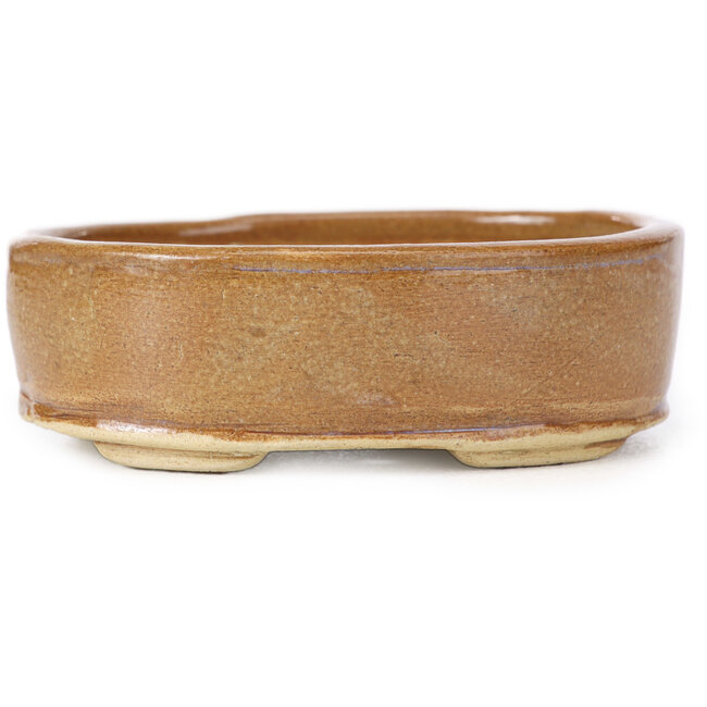 Oval brown bonsai pot by Seto - 85 x 70 x 25 mm