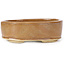 Vaso bonsai ovale marrone di Seto - 85 x 70 x 25 mm