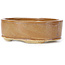 Vaso bonsai ovale marrone di Seto - 85 x 70 x 25 mm