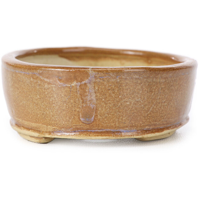 Pot à bonsaï ovale marron par Seto - 85 x 70 x 25 mm