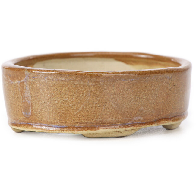 Vaso bonsai ovale marrone di Seto - 85 x 70 x 25 mm