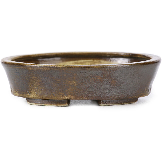 Ovale braune Bonsaischale von Seto - 105 x 85 x 30 mm