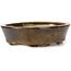 Oval brown bonsai pot by Seto - 105 x 85 x 30 mm