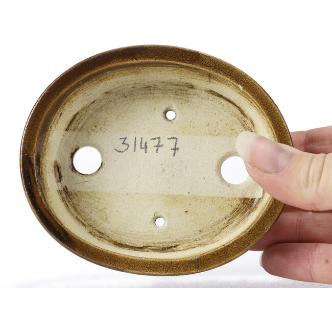 Maceta de bonsái marrón ovalada de Seto - 105 x 85 x 30 mm