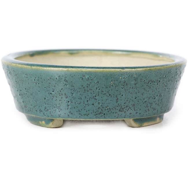 Maceta de bonsái verde ovalada de Seto - 100 x 85 x 25 mm