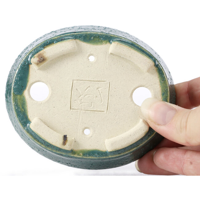 Maceta de bonsái verde ovalada de Seto - 100 x 85 x 25 mm