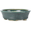 Pot à bonsaï ovale vert par Seto - 110 x 90 x 30 mm