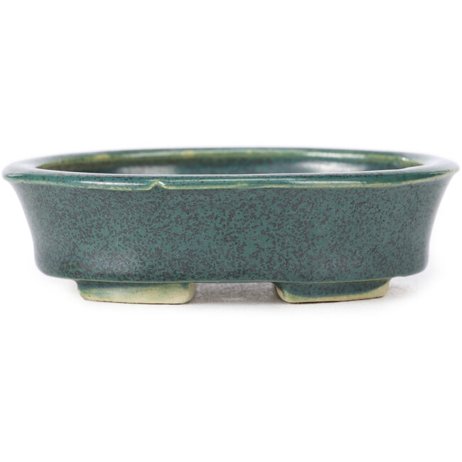 Ovale groene bonsaipot van Seto - 110 x 90 x 30 mm