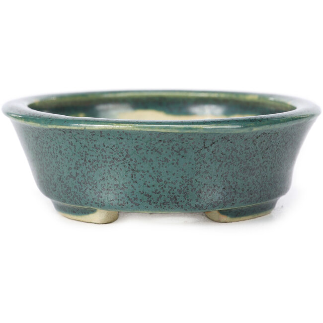 Pot à bonsaï ovale vert par Seto - 110 x 90 x 30 mm