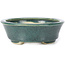 Pot à bonsaï ovale vert par Seto - 110 x 90 x 30 mm