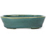 Ovale groene bonsai pot van Seto - 95 x 75 x 25 mm