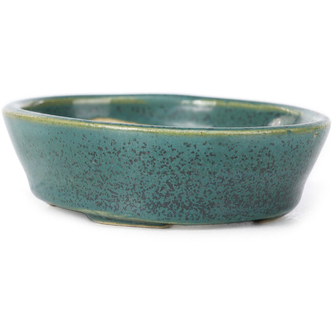 Maceta de bonsái verde ovalada de Seto - 95 x 75 x 25 mm